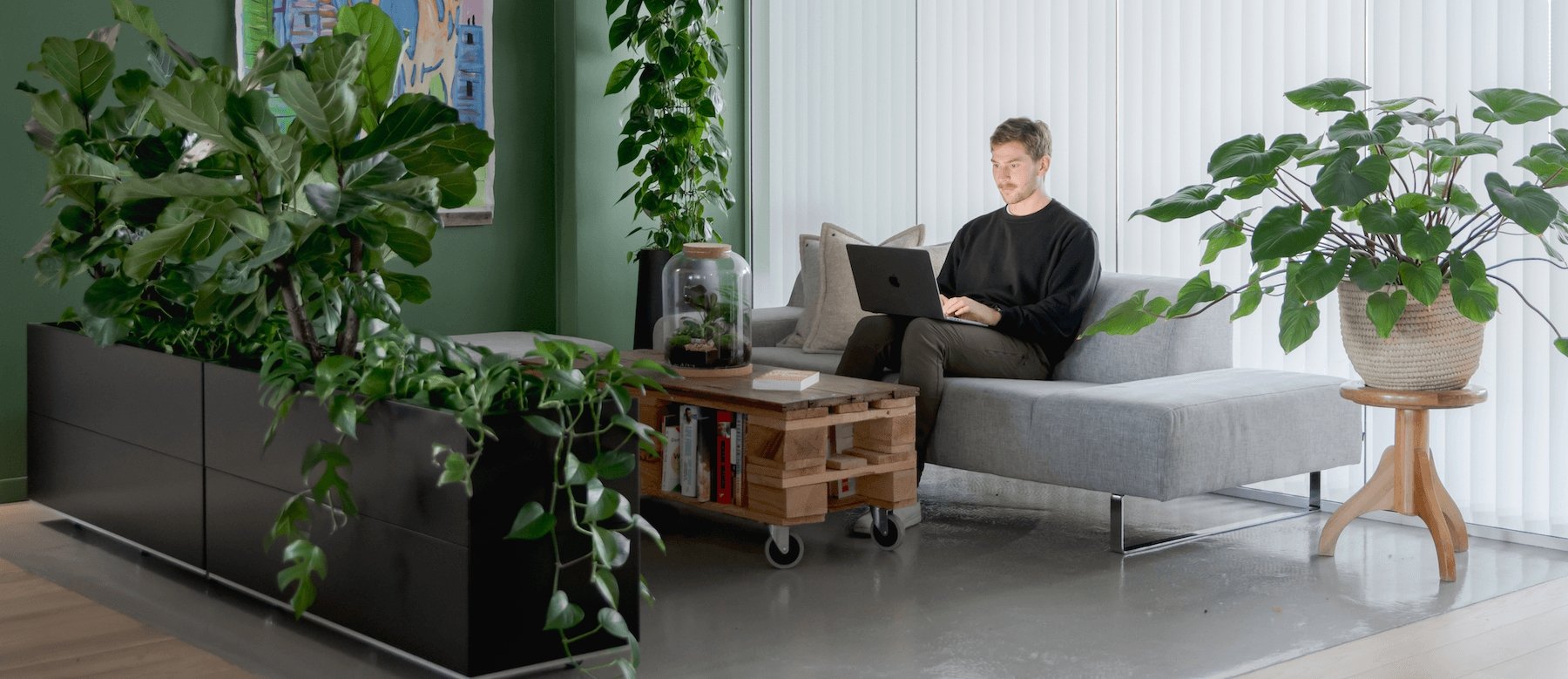 Skap et grønt og sunt arbeidsmiljø med levende planter på kontoret. Plantekasser på hjul gir mulighet for variasjon.