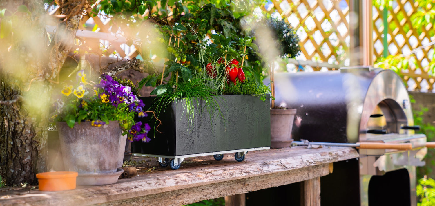 Urtekasse på hjul fra norske BEDD