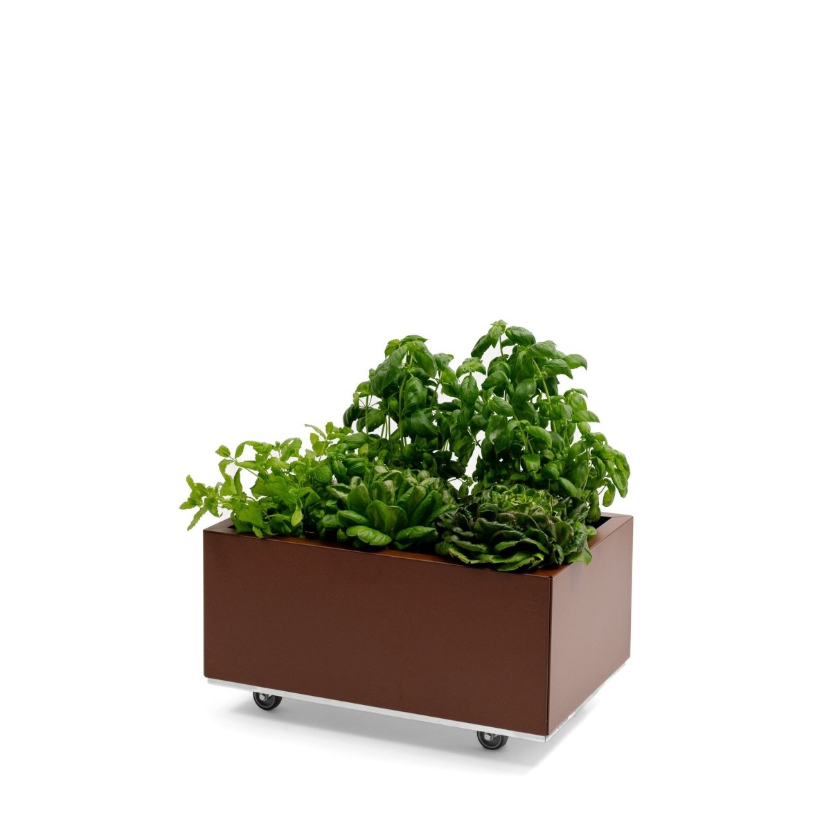 BEDD_60x40h25_Rustlakk0