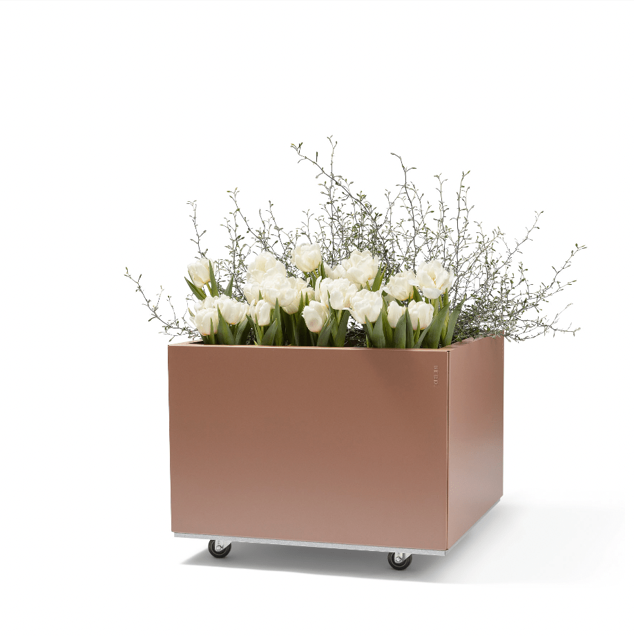 BEDD_60x60h40_KarmLotus0