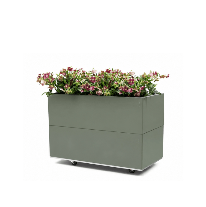 BEDD limited edition Green med bunn og hjul