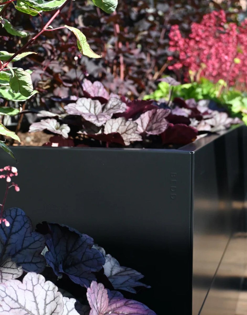 Design din egen uteplass med vakre og varige plantekasser fra norske BEDD.