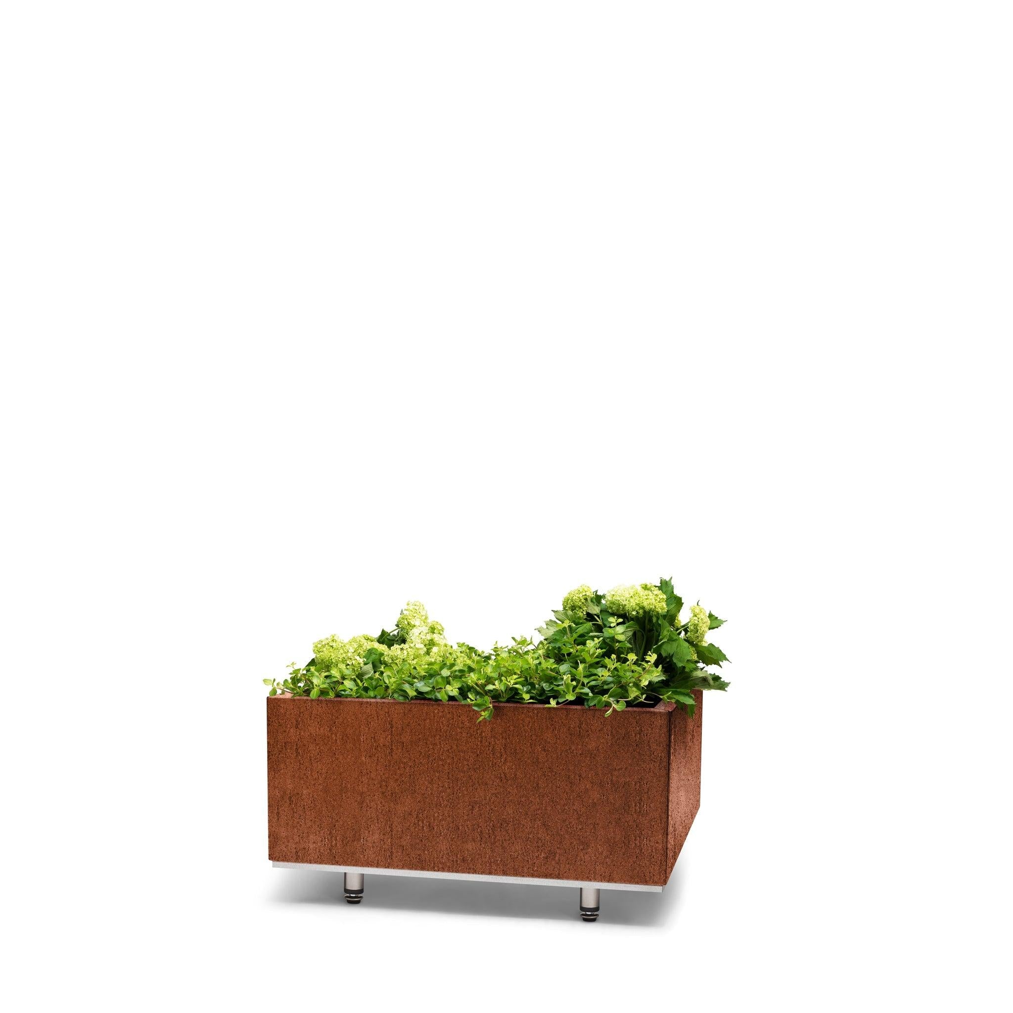 BEDD_60x60h25_BENrust0