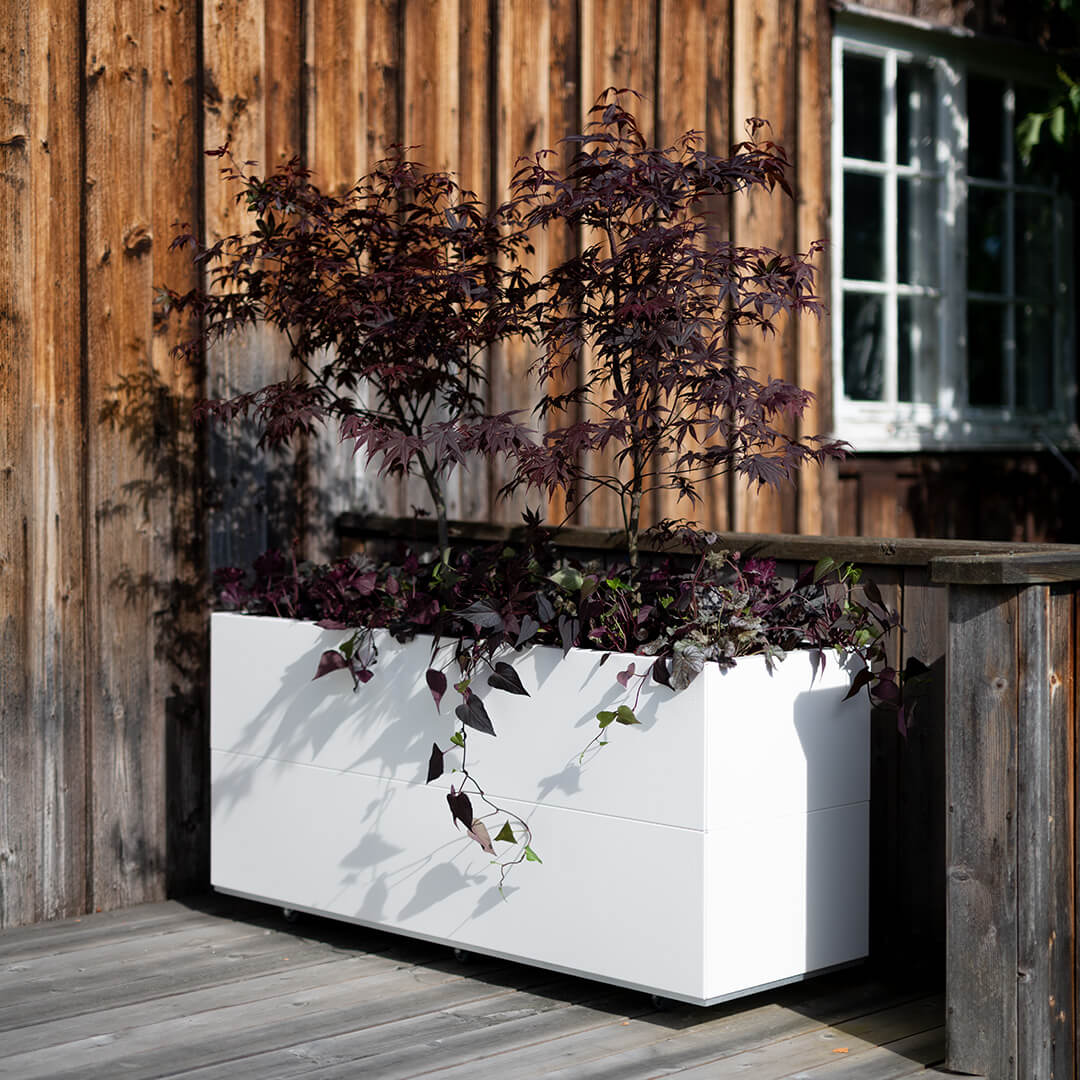 BEDD_120x40h50_Hvit1