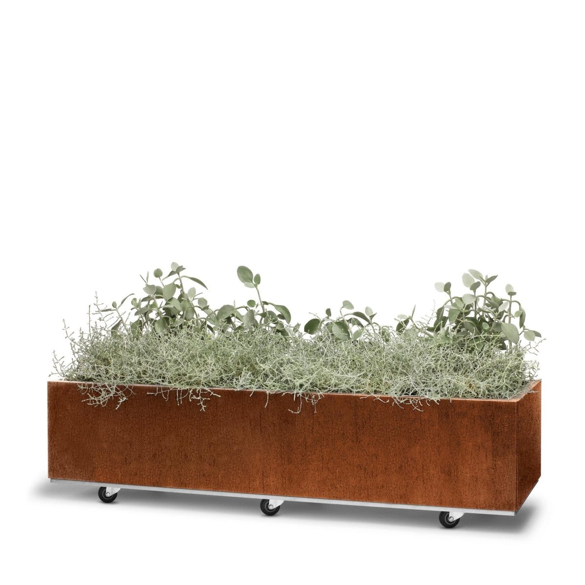 BEDD plantekasse 120x40 cm h25 cm i stål/rust. Kan utstyres med hjul eller ben. Rustfri og frostsikker med 10 års garanti