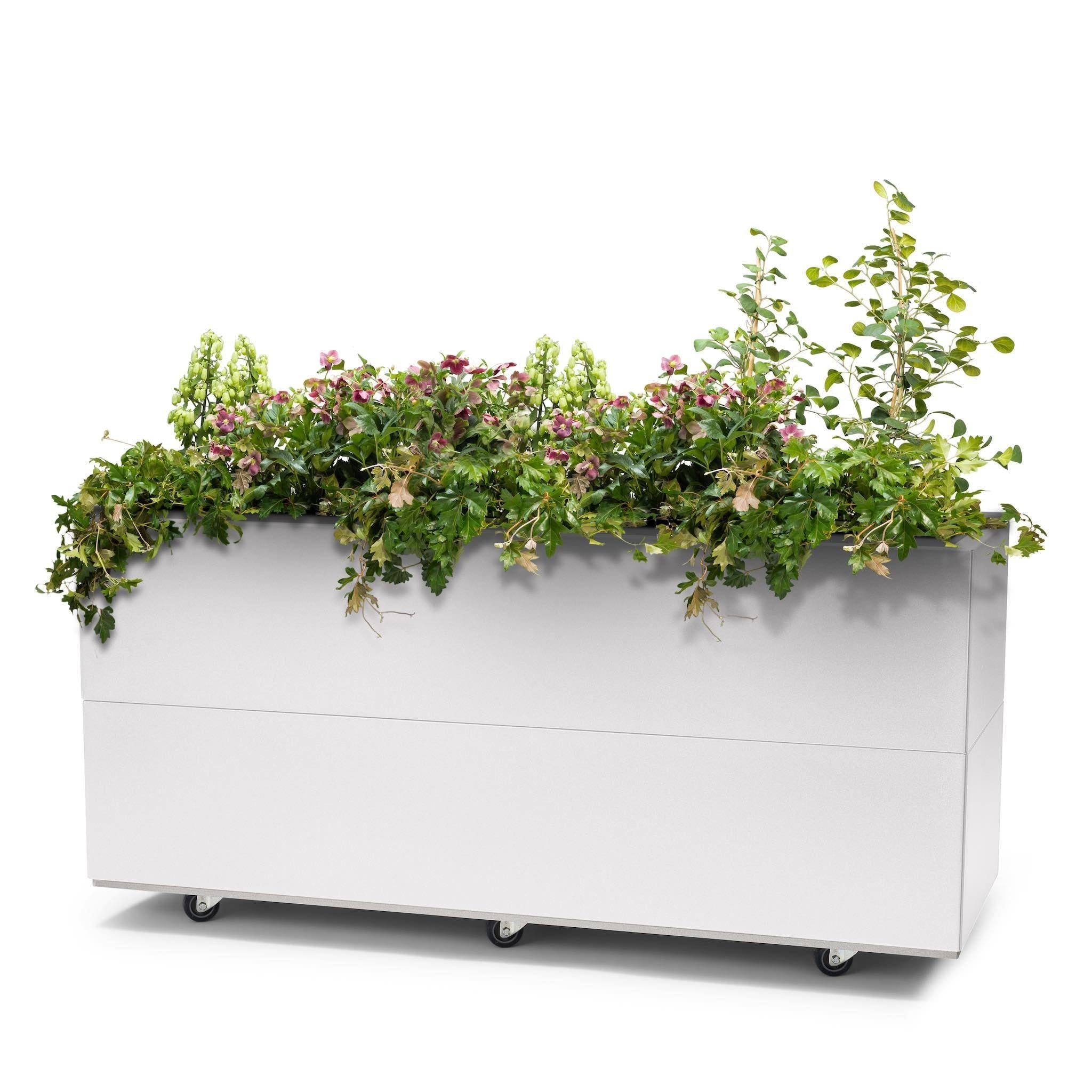 BEDD_120x40h50_Hvit0