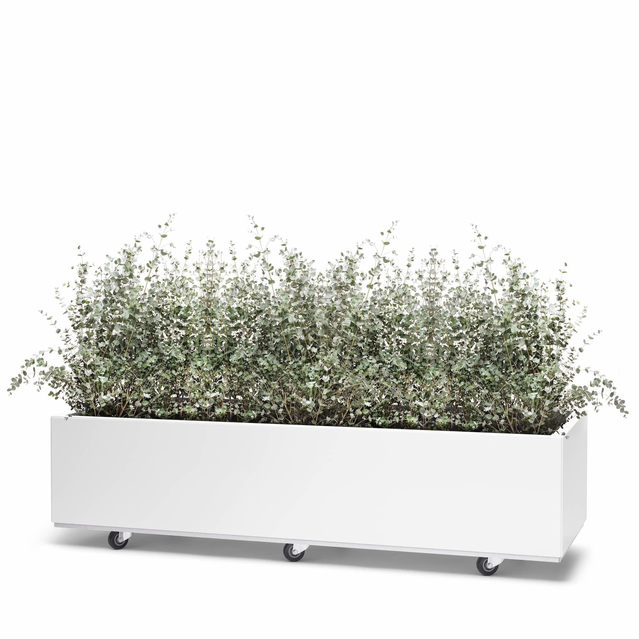 BEDD_120x60h25_Hvit0