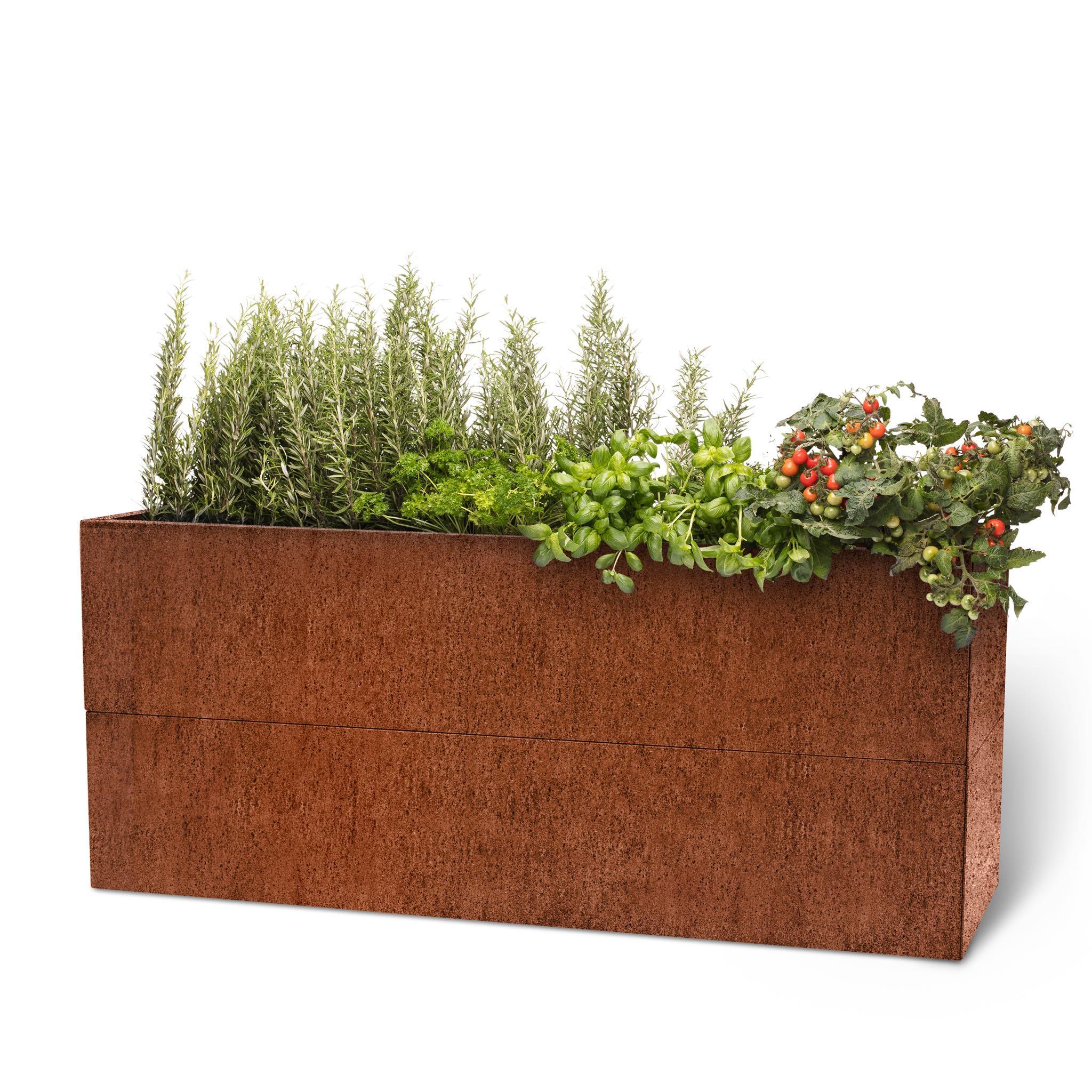 BEDD_Karm50_Rust