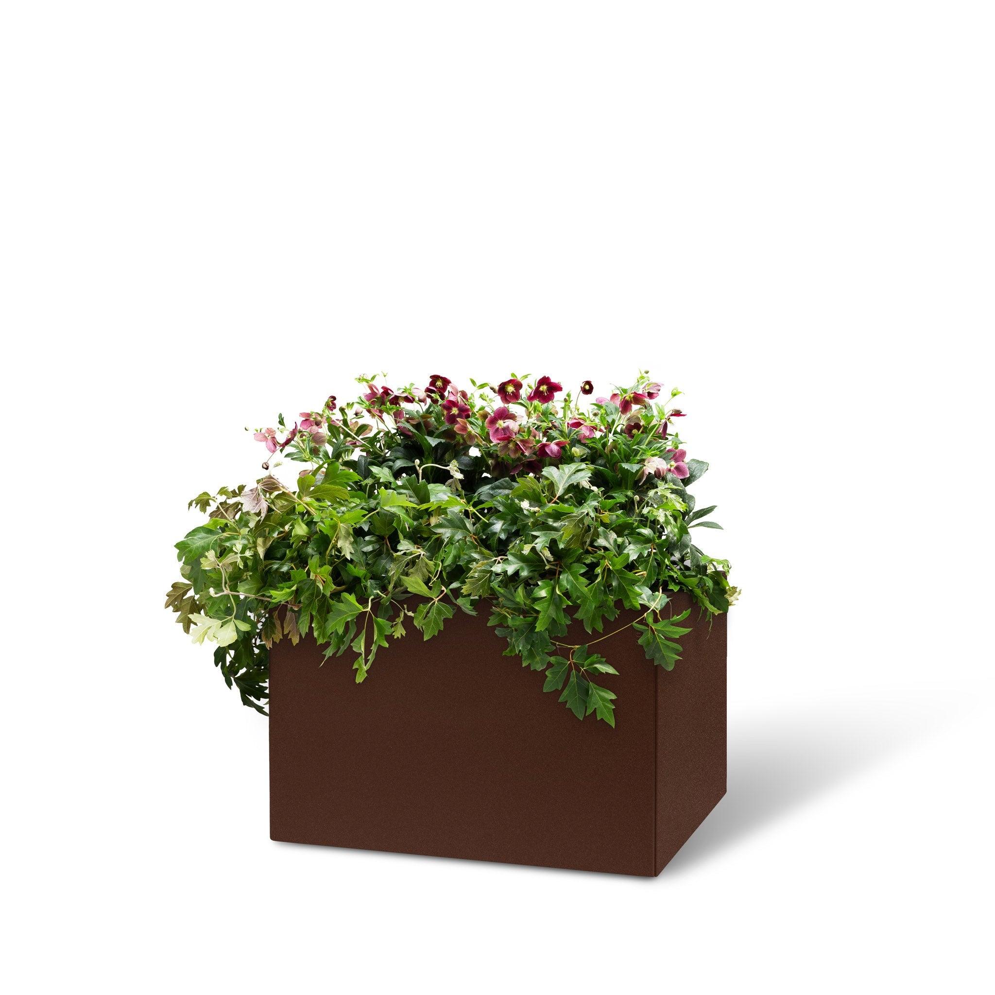 BEDD_4pk 60x40_Rustlakk0