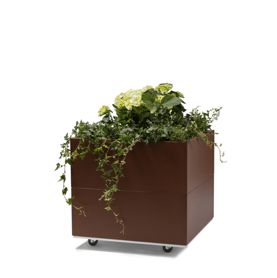 BEDD_60x60h50_Rustlakk0