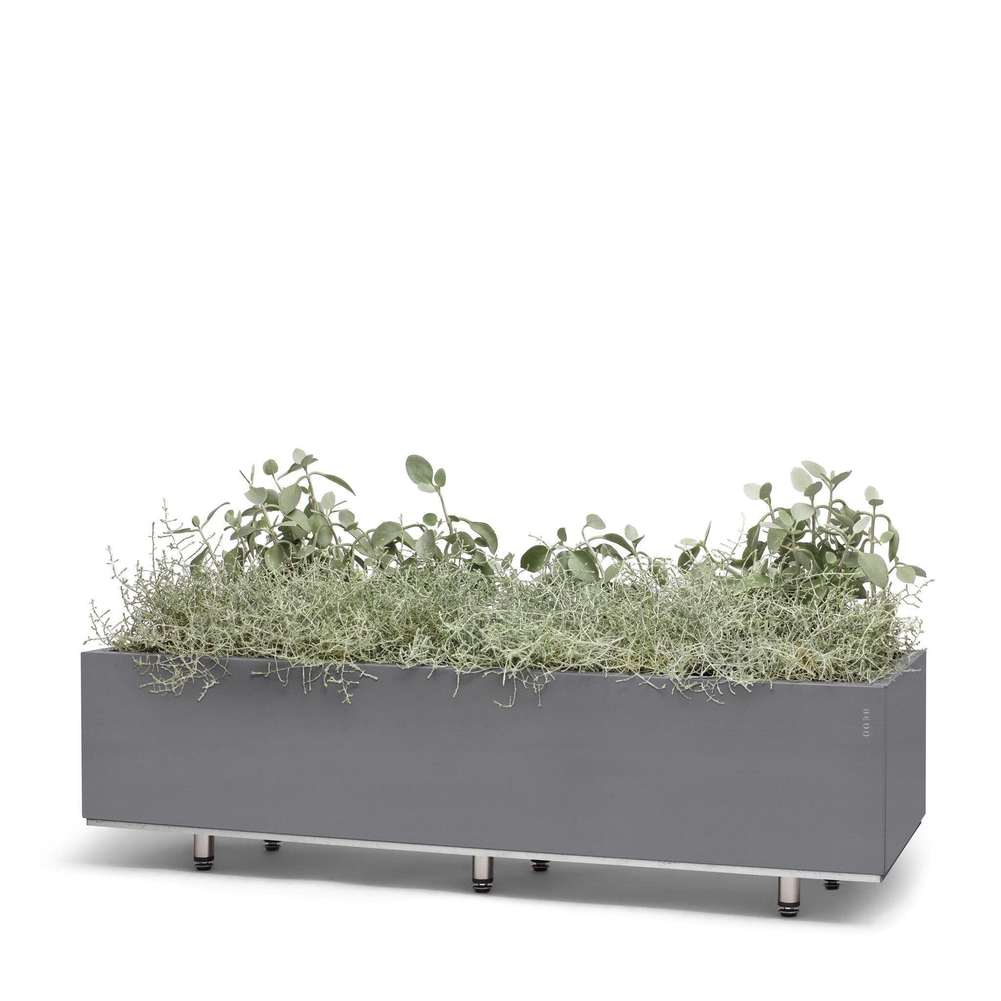 BEDD_120x40h25_GraBen0