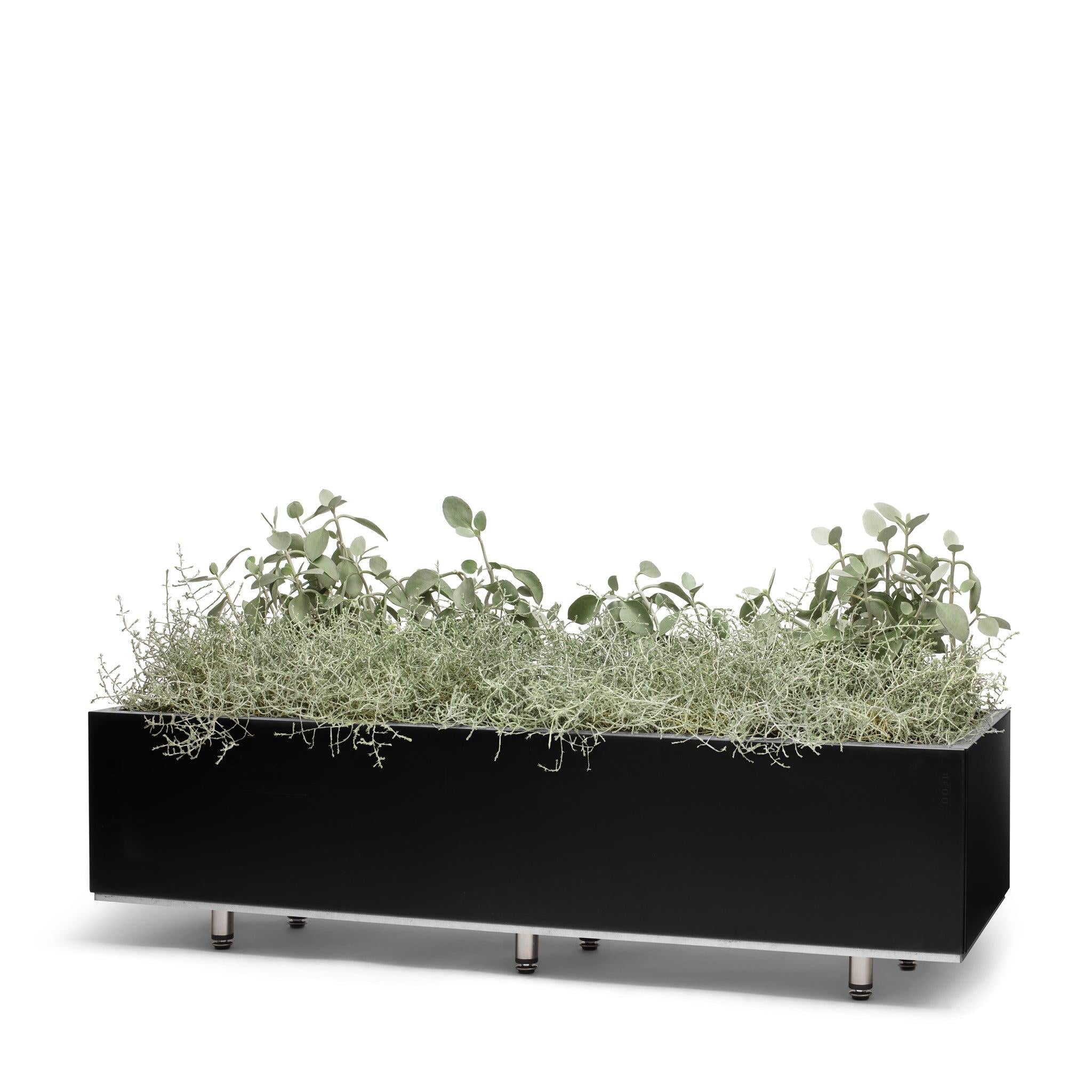 BEDD_120x40h25_SortBen0