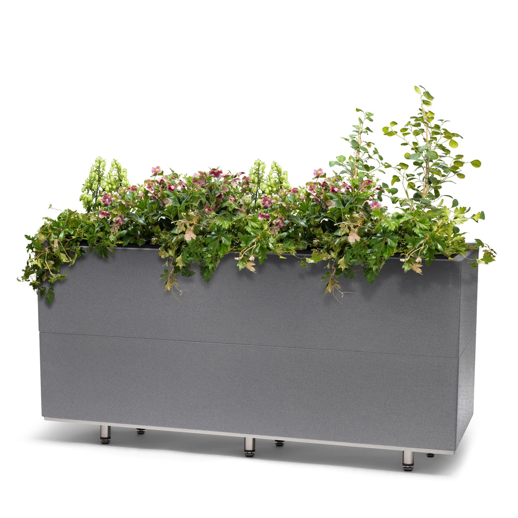 BEDD_120x40h50_ben_Gra1