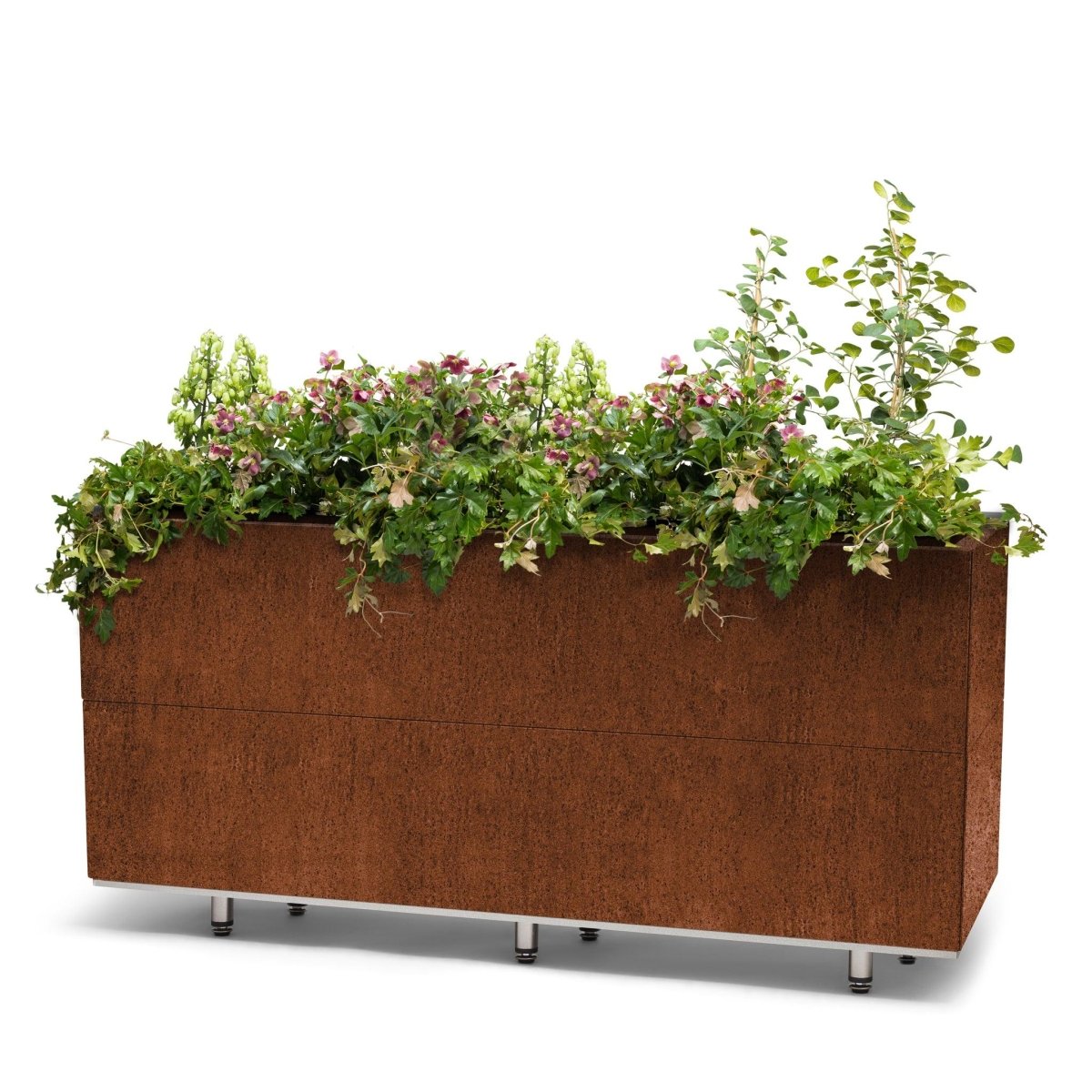 BEDD_120x40h50_ben_Rust1