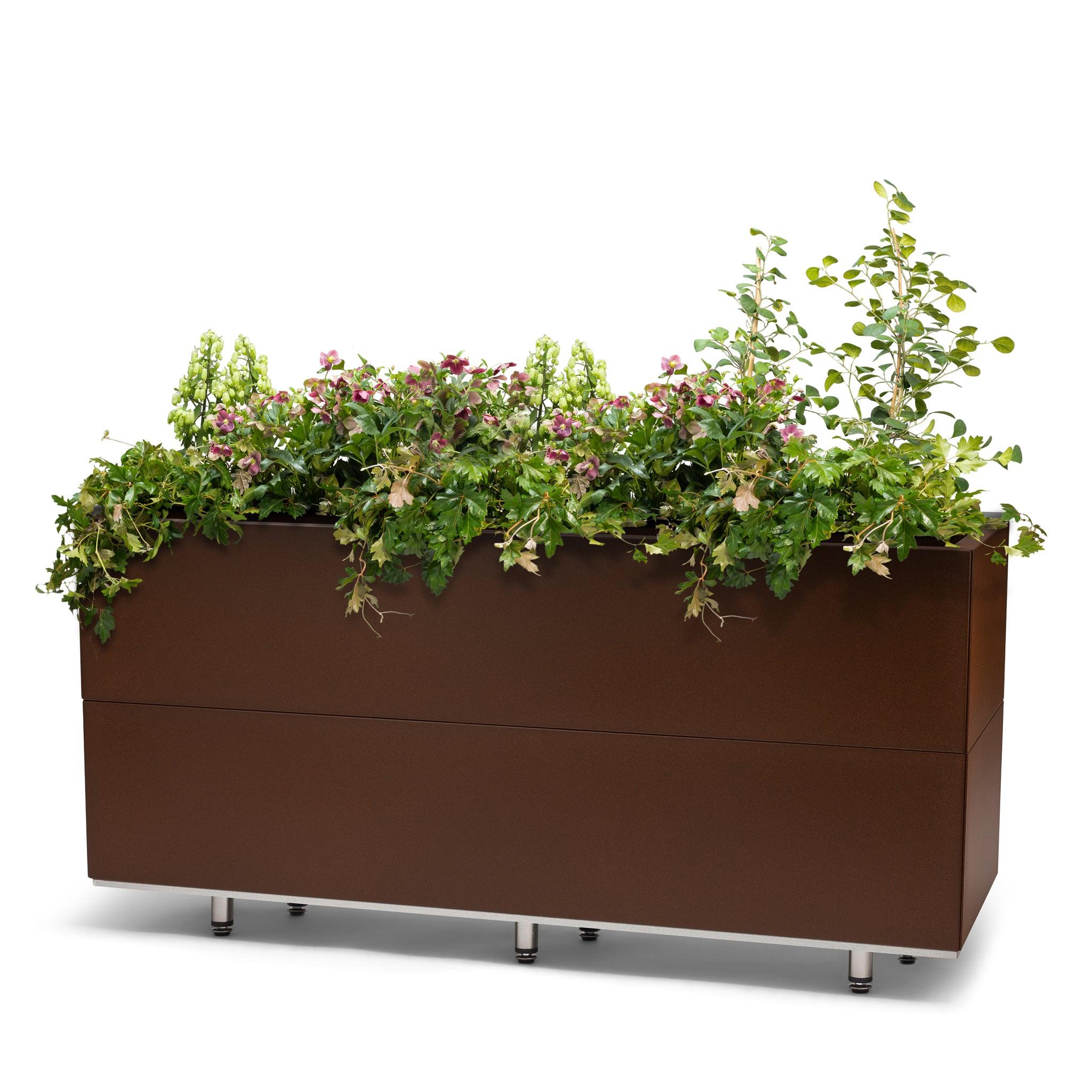 BEDD_120x40h50_ben_Rustlakk1