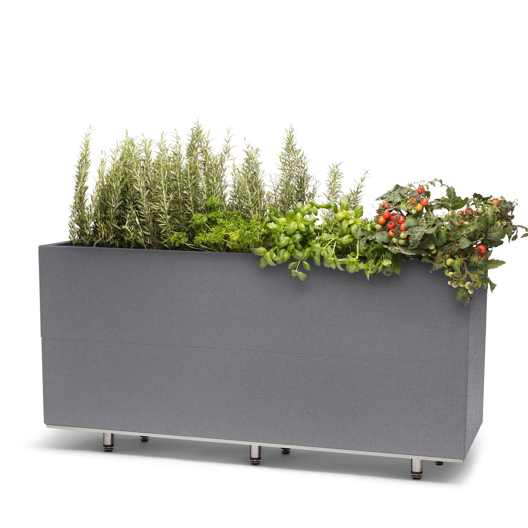 BEDD_120x40h50_BENgra0