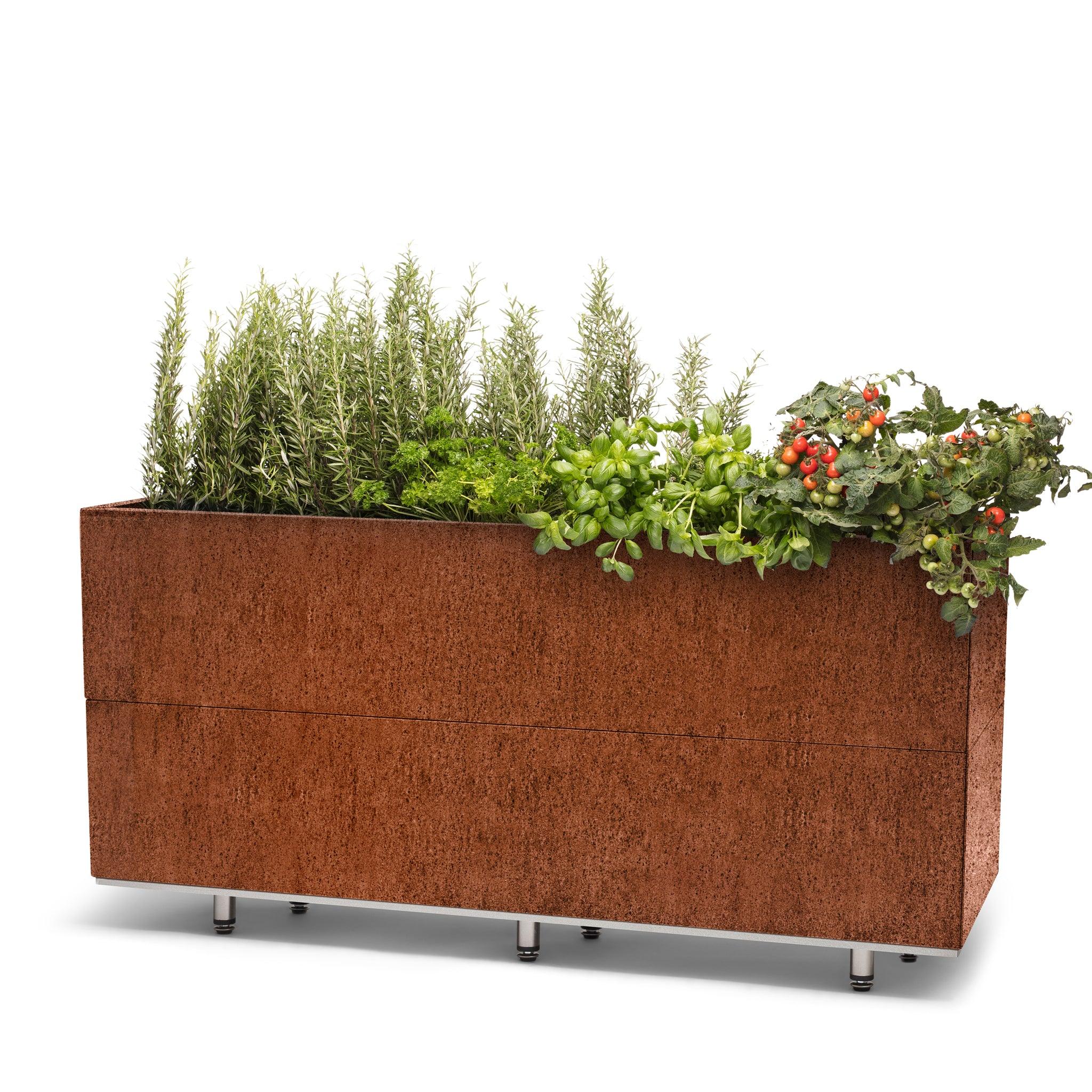 BEDD_120x40h50_BENrust0