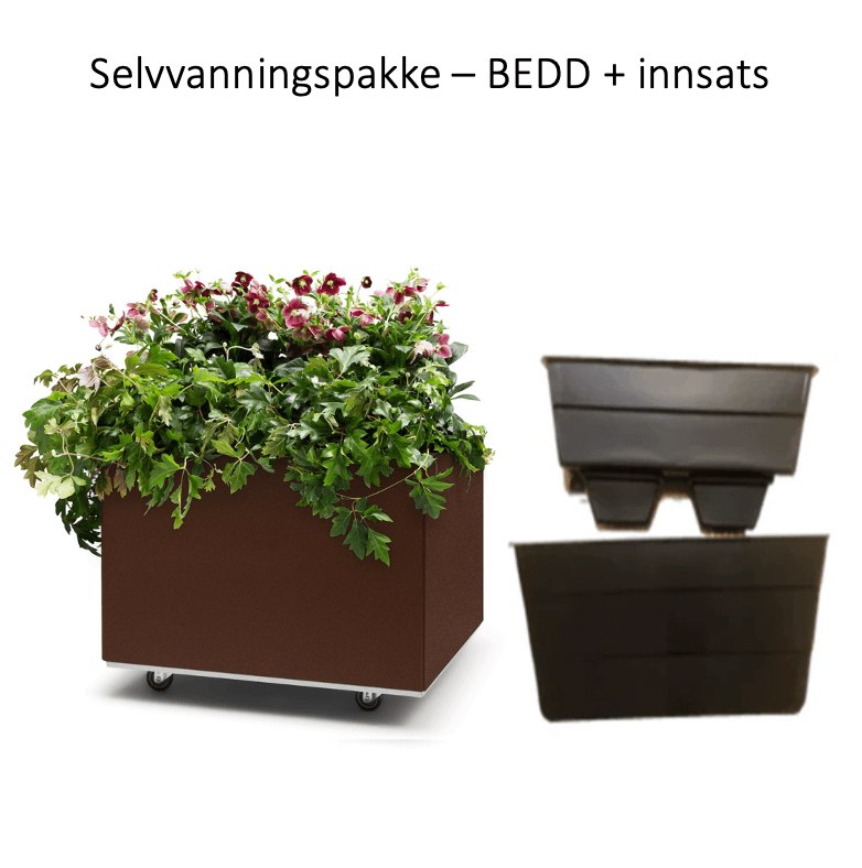 60x60h40_Selvvanning_Rustlakk0