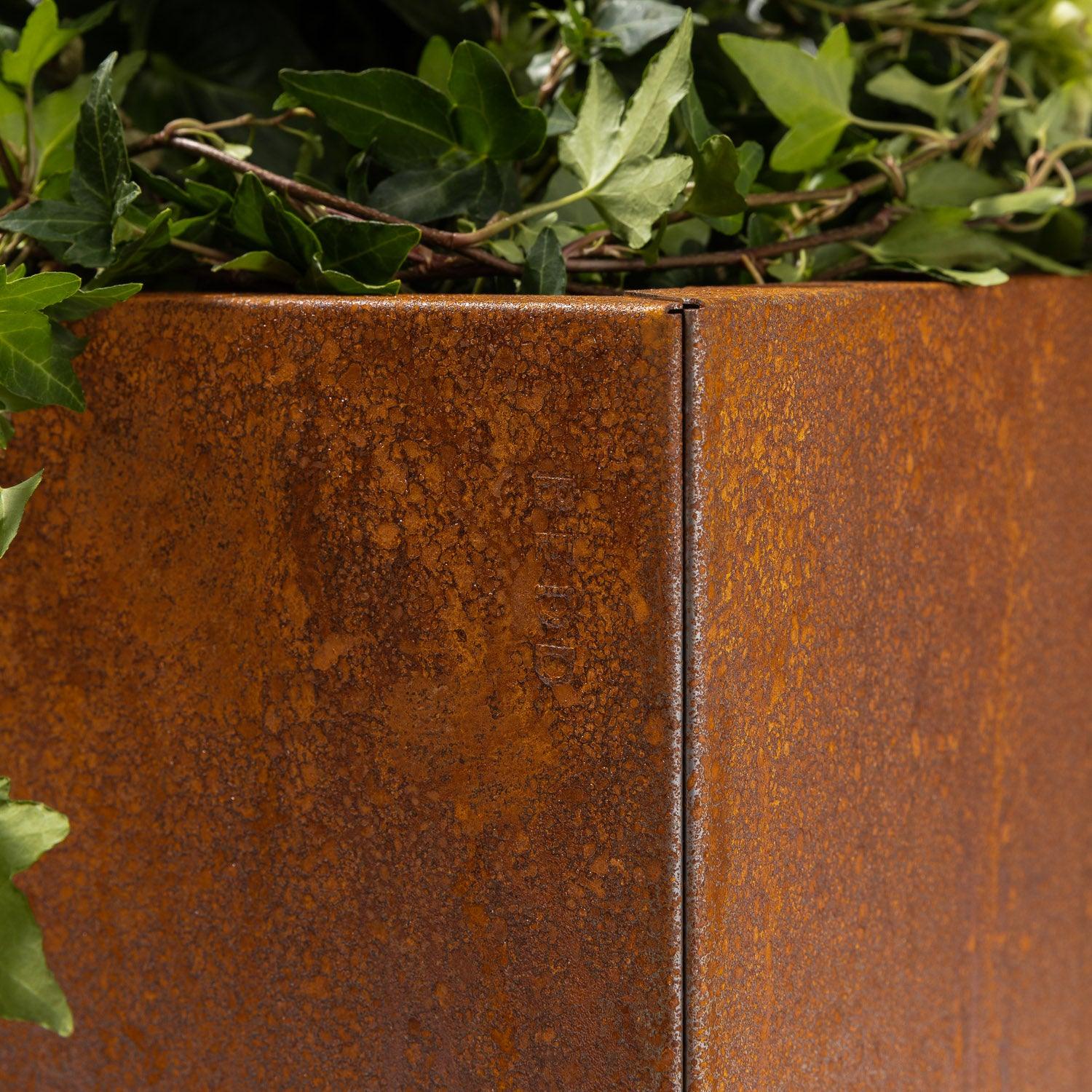 BEDD_60x60h50_Rust1