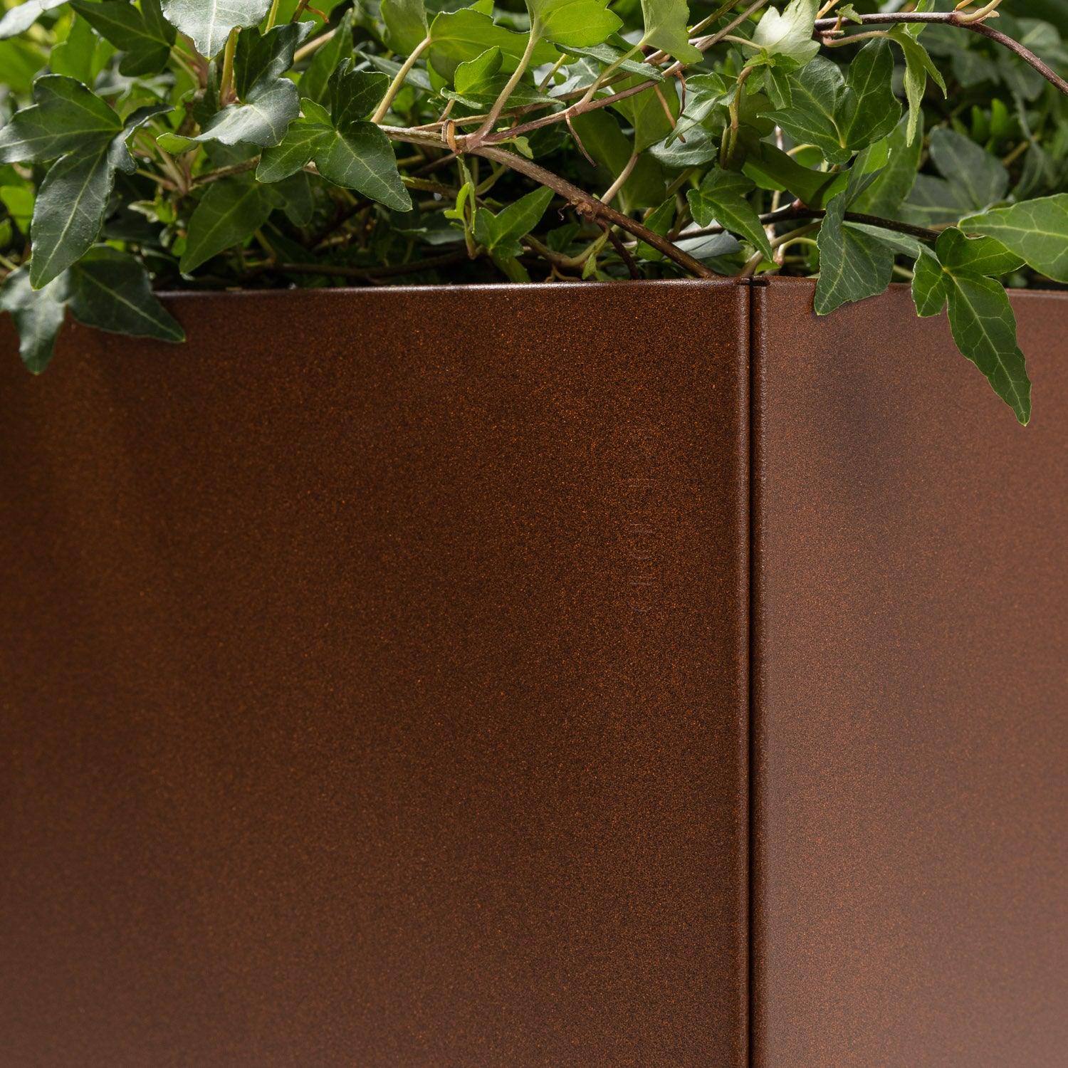 BEDD_60x60h50_Rustlakk2