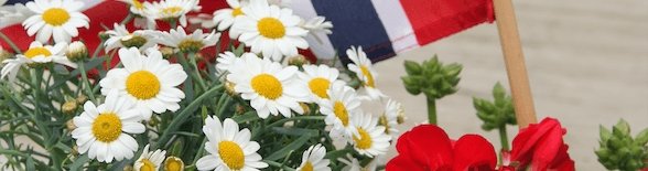 Blomsterkasse til 17. mai - i rødt, hvitt og blått - BEDD
