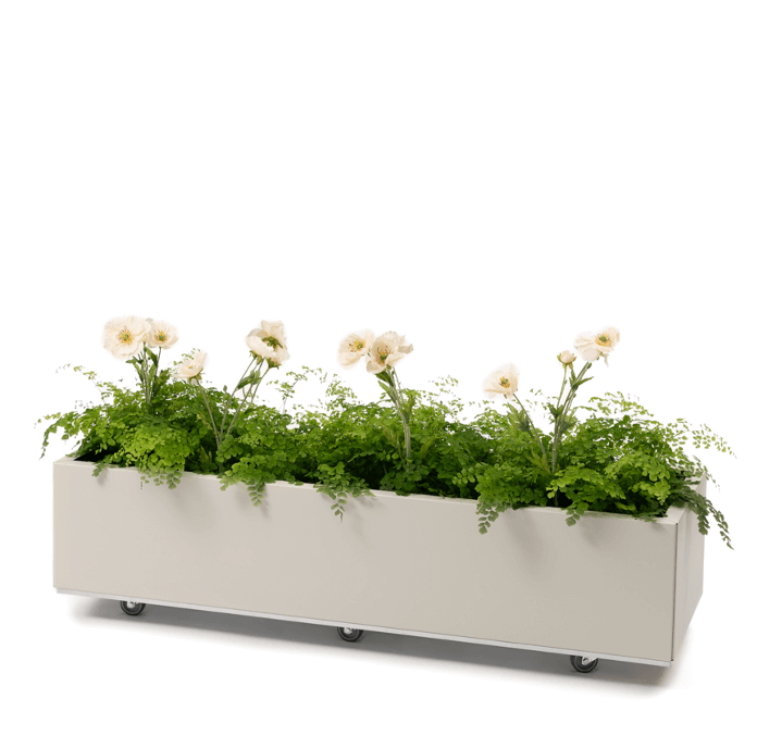 BEDD_120x40h25_Kalk0