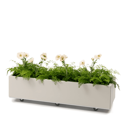 BEDD_120x40h25_Kalk0