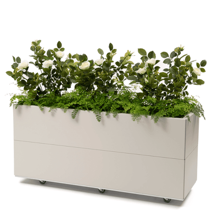 120x40h50_Selvvanning_Kalk0