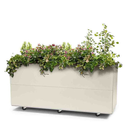 BEDD_120x60h50_Kalk0