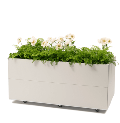 BEDD_120x60h50_Kalk0