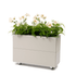 BEDD_80x30h50_Kalk0