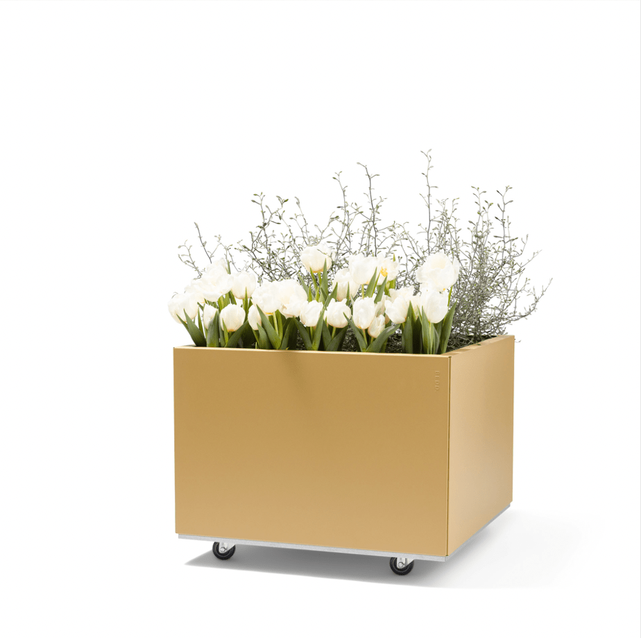 BEDD_60x60h40_KarmGold0