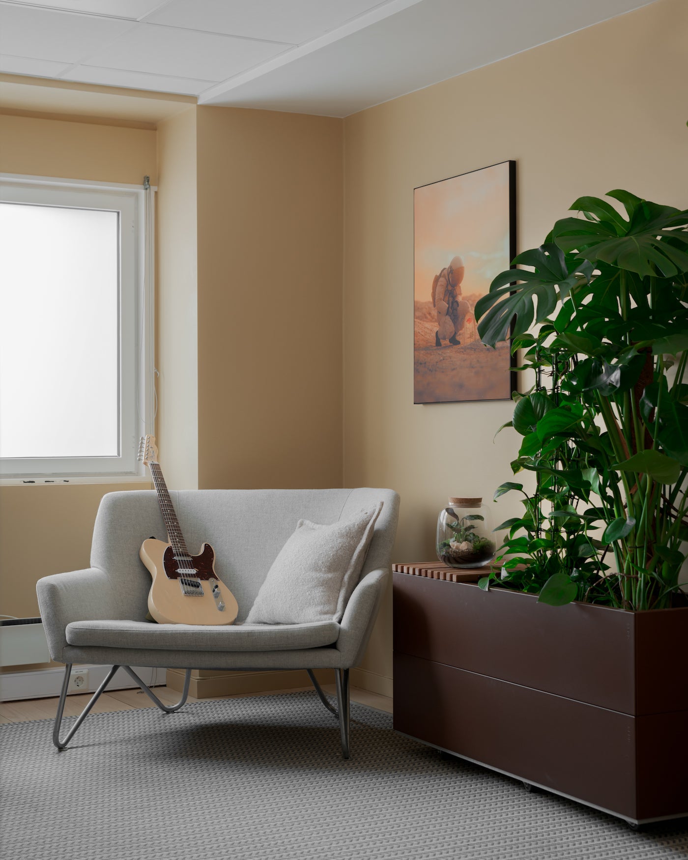 BEDD med selvvanning egner seg godt for store planter inne. 