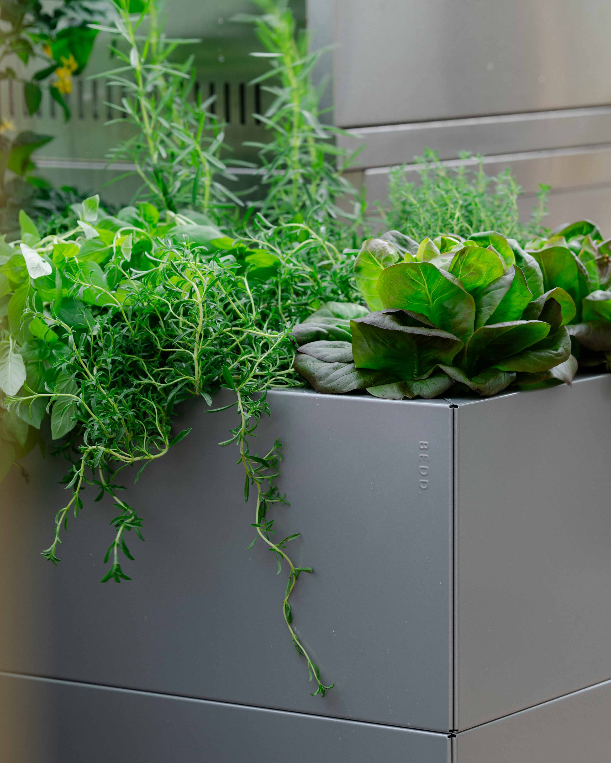 Plantekasse i stål - 200x40 cm med bunn og ben – BEDD