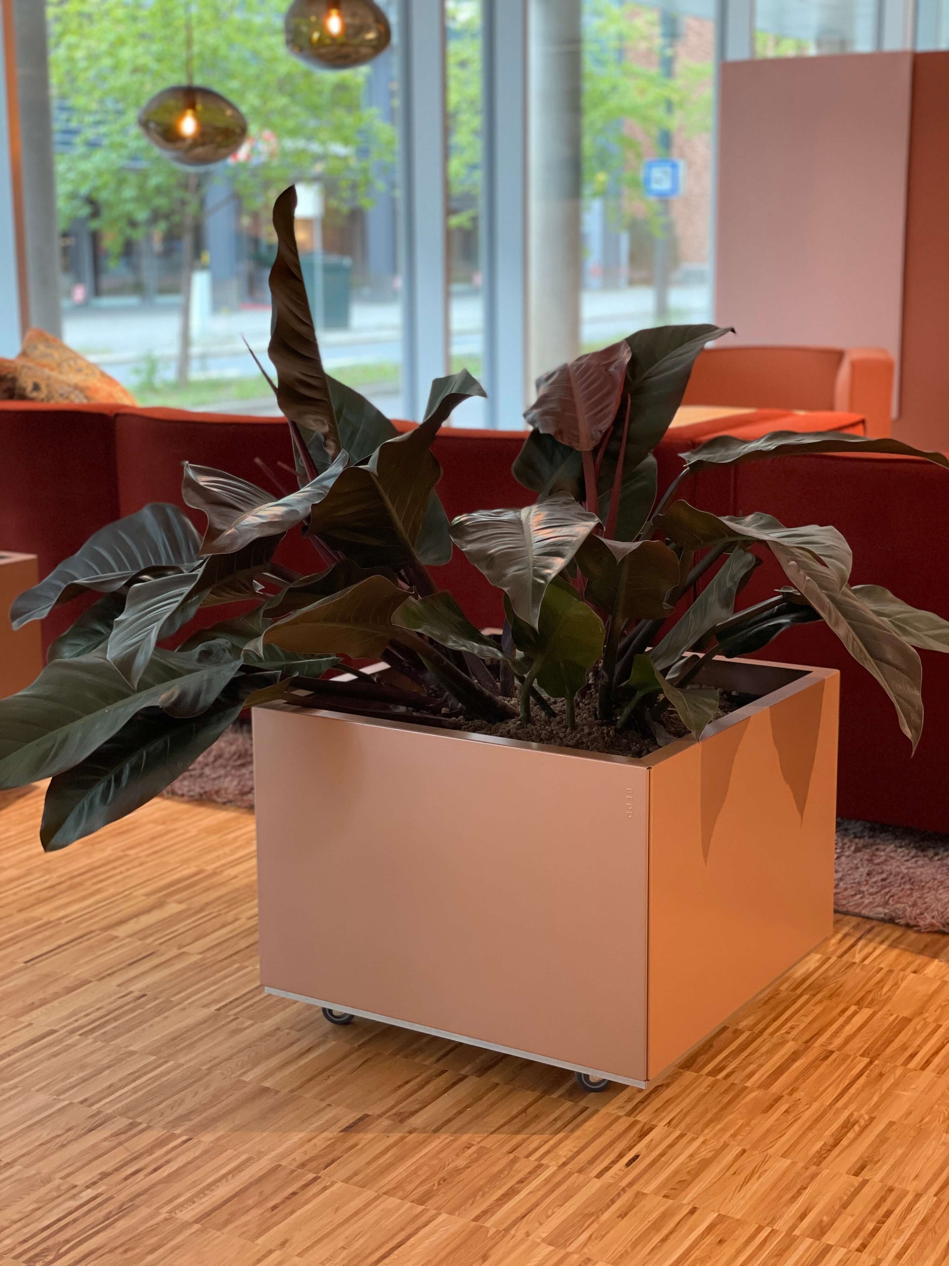 B-vare - 60x60 h40 Lotus m. hjul