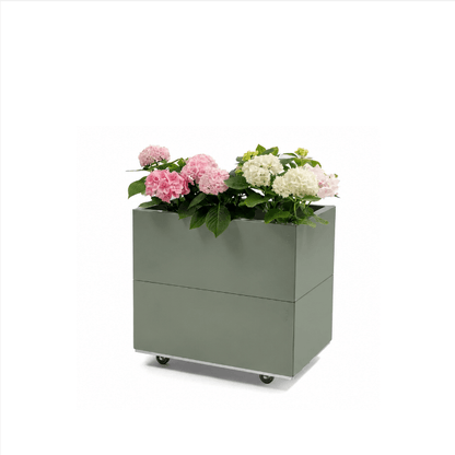 BEDD limited edition Green med bunn og hjul