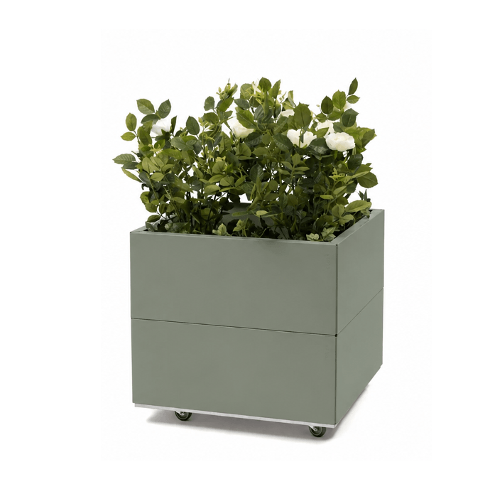 BEDD limited edition Green med bunn og hjul