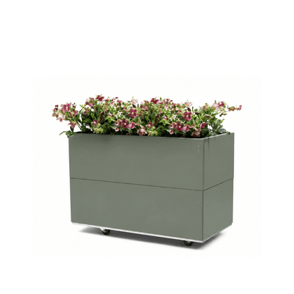 BEDD limited edition Green med bunn og hjul