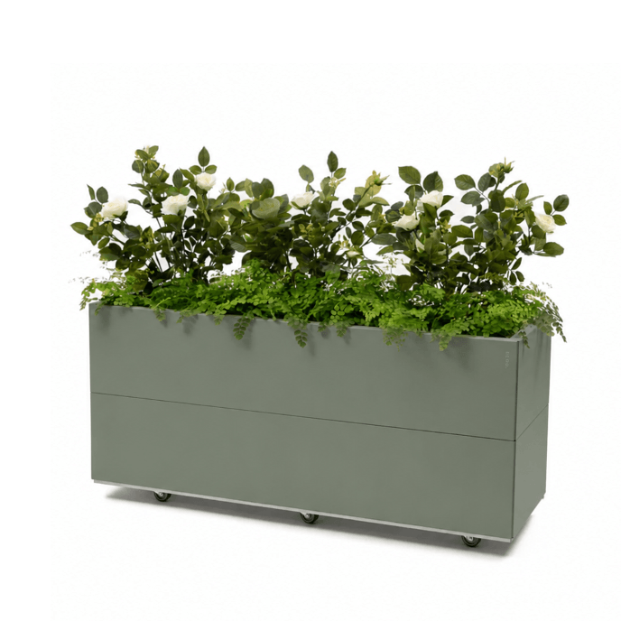 BEDD limited edition Green med bunn og hjul