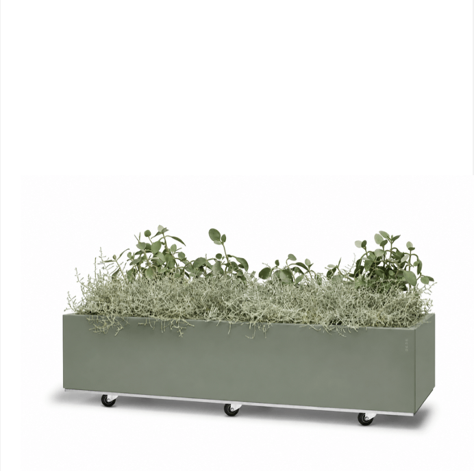 BEDD limited edition Green med bunn og hjul