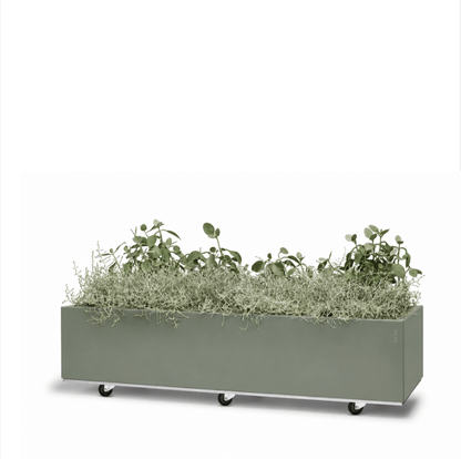 BEDD limited edition Green med bunn og hjul