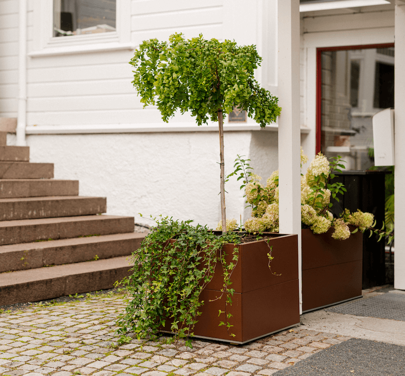 BEDD_60x60h50_Rustlakk1