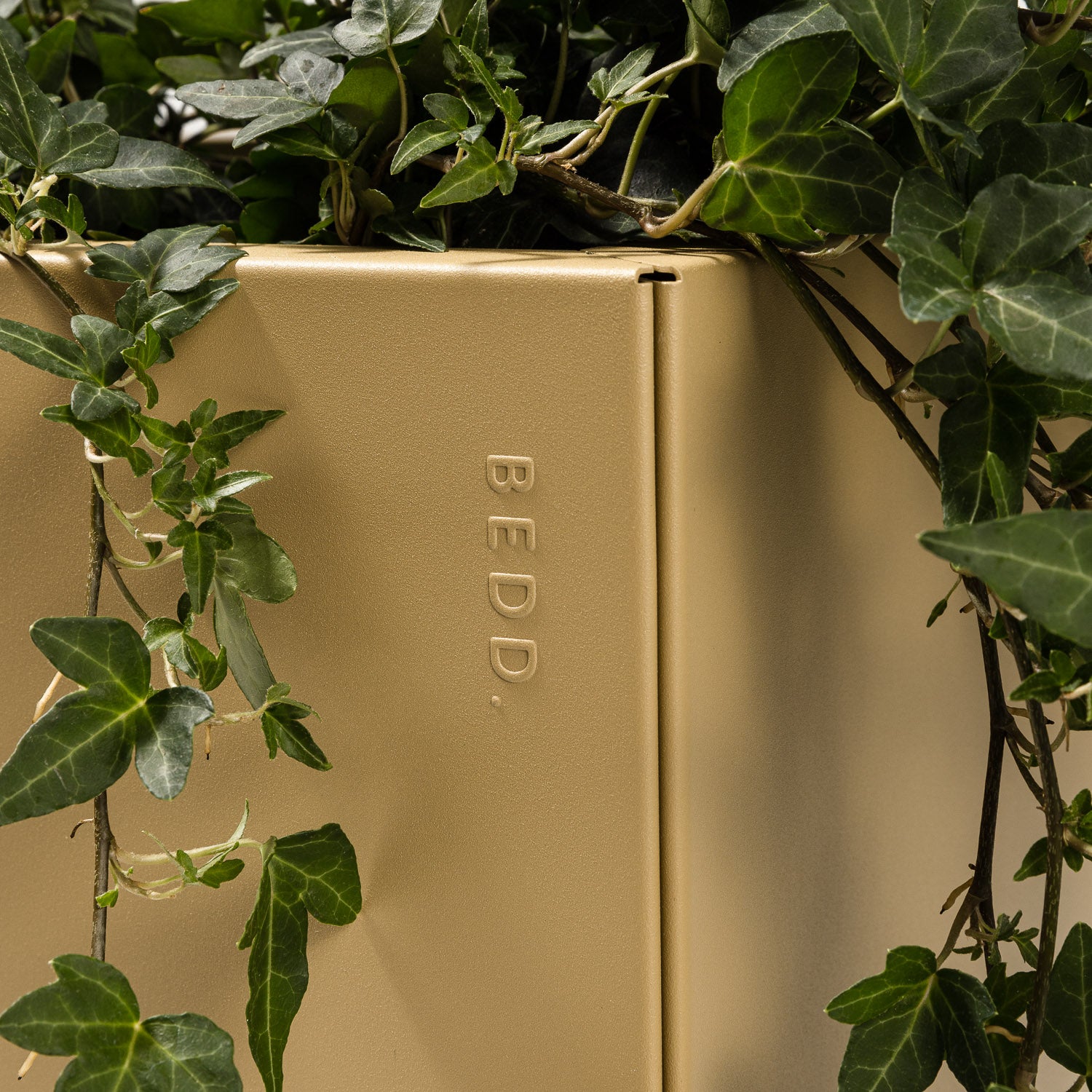 BEDD nyhet - Limited Edition Gold blomsterkasse