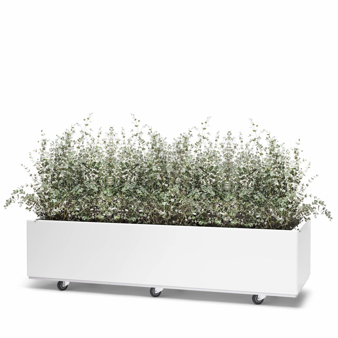    BEDD_120x60h25_Hvit0