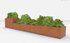 BEDD_Modell06_Rust0