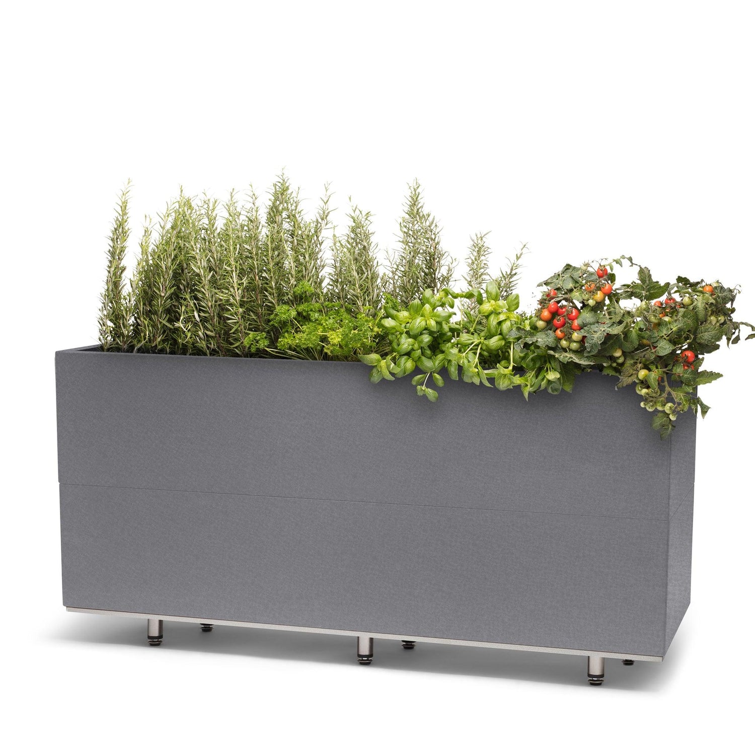 BEDD_120x60h50_BENgra0