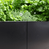 BEDD_180x60_Sort0